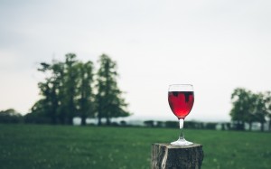 premium wines